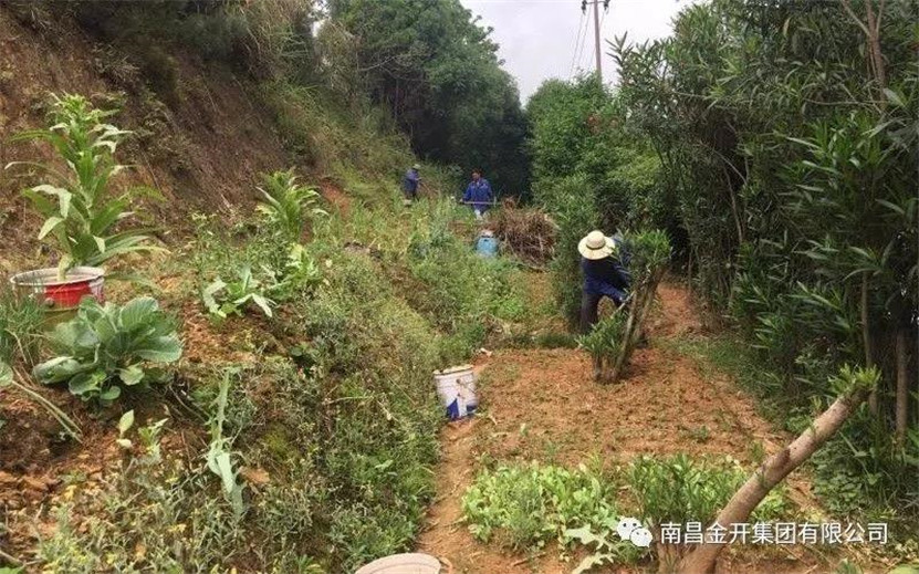 整治违规菜地,还居民一个良好生活环境