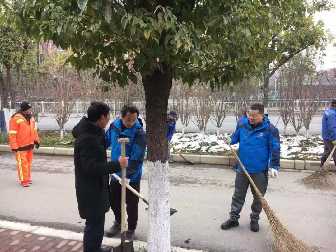 开启新征程——金开集团正式接管蛟桥片区环卫工作