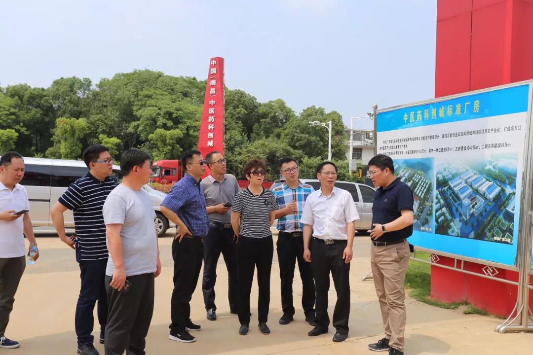 吉林省工业和信息化厅医药处处长张迎红一行来到中医药科