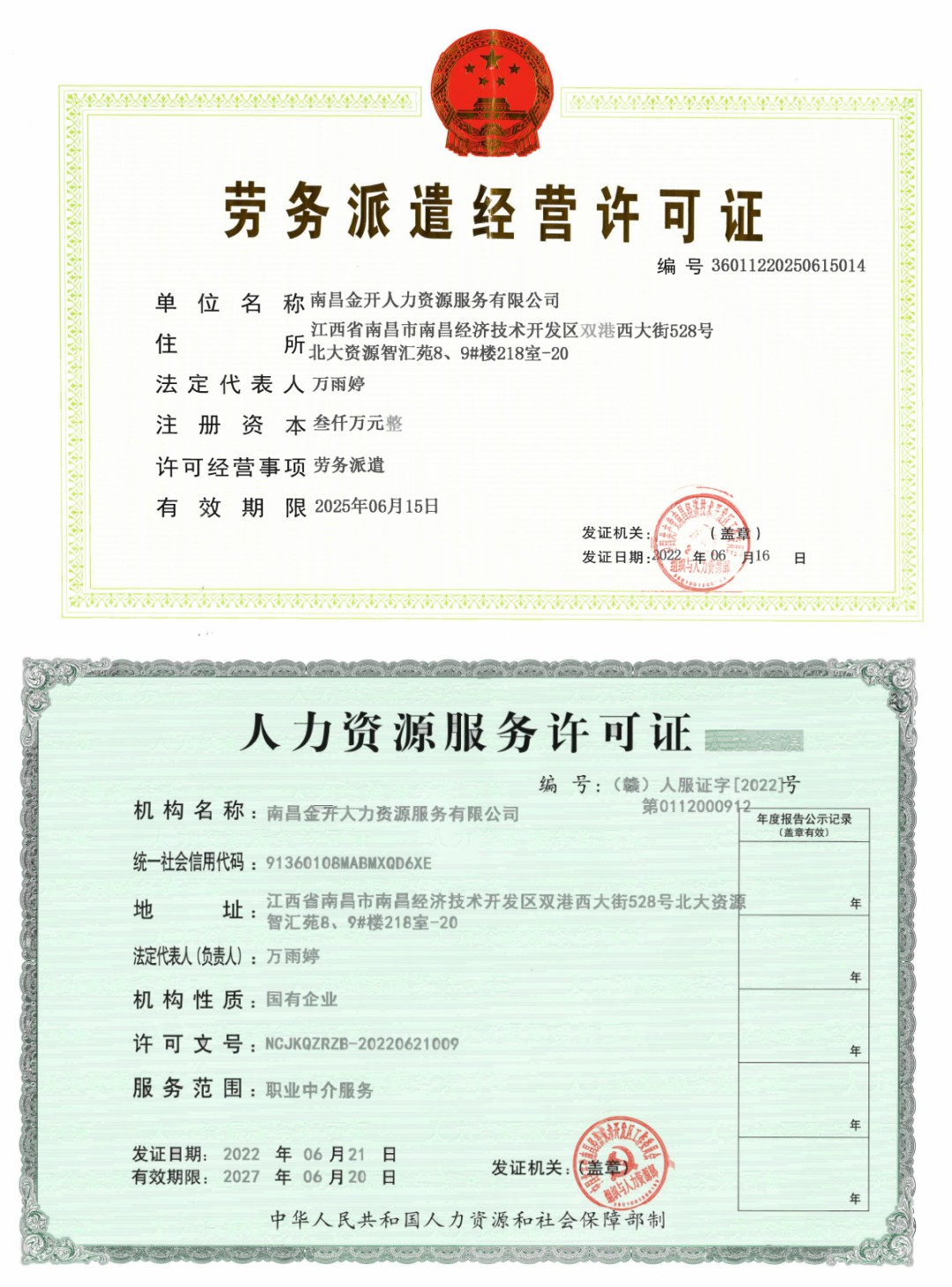 喜报!金开人力资源服务有限公司获取人力资源服务许可证