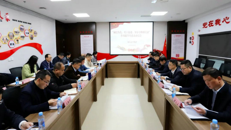集团召开“项目为先、实干奋进,争分夺秒拼经济”动员会